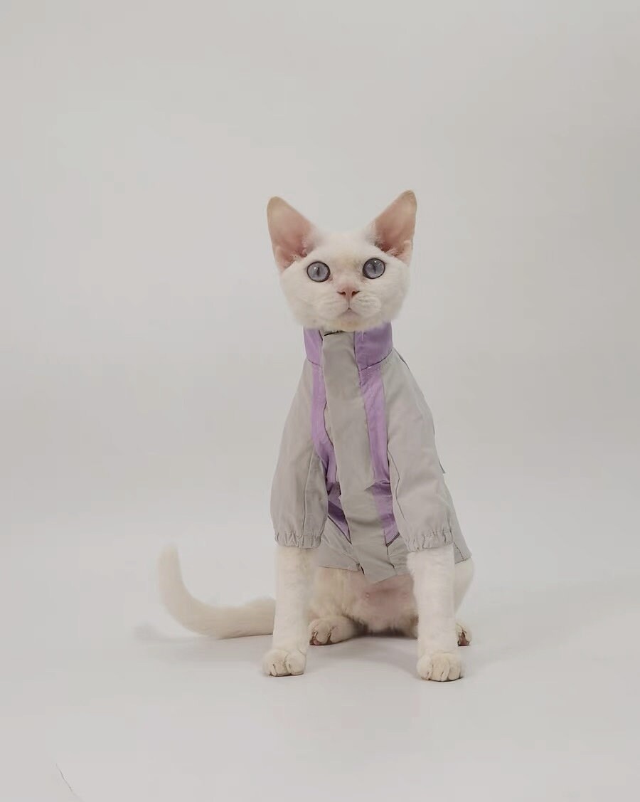 Sphynx Hairless Cats Windproof Jacket, Outdoors Wear Coat, Bambino Devon Rex Sphynx Cat Jumper