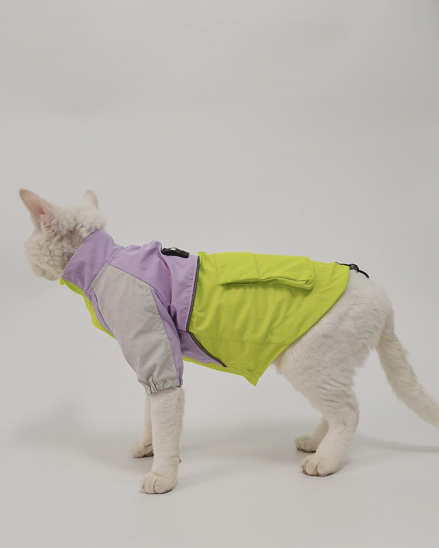 Sphynx Hairless Cats Windproof Jacket, Outdoors Wear Coat, Bambino Devon Rex Sphynx Cat Jumper