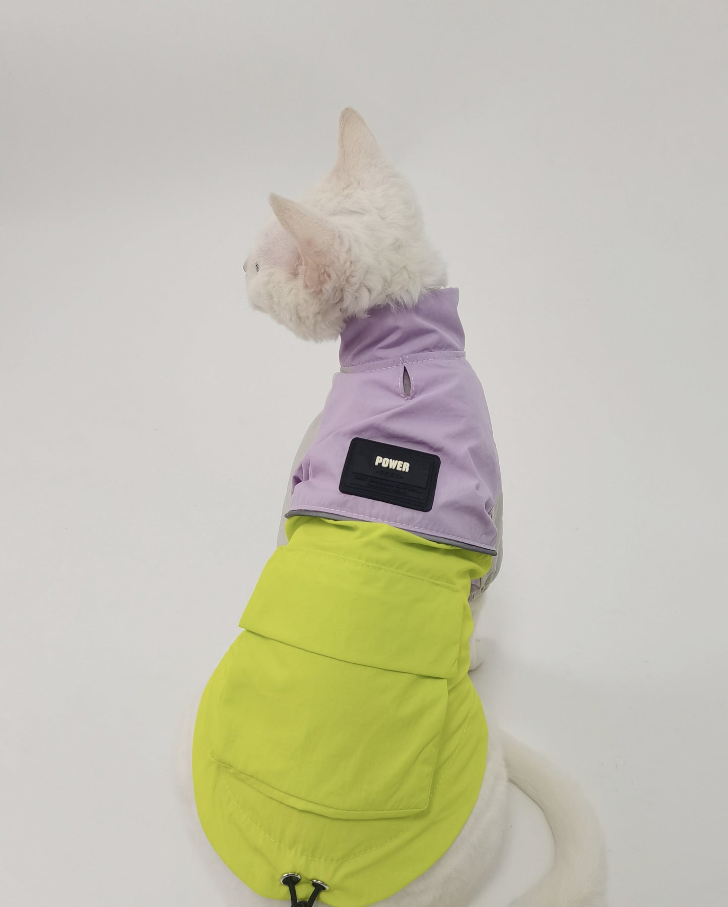 Sphynx Hairless Cats Windproof Jacket, Outdoors Wear Coat, Bambino Devon Rex Sphynx Cat Jumper