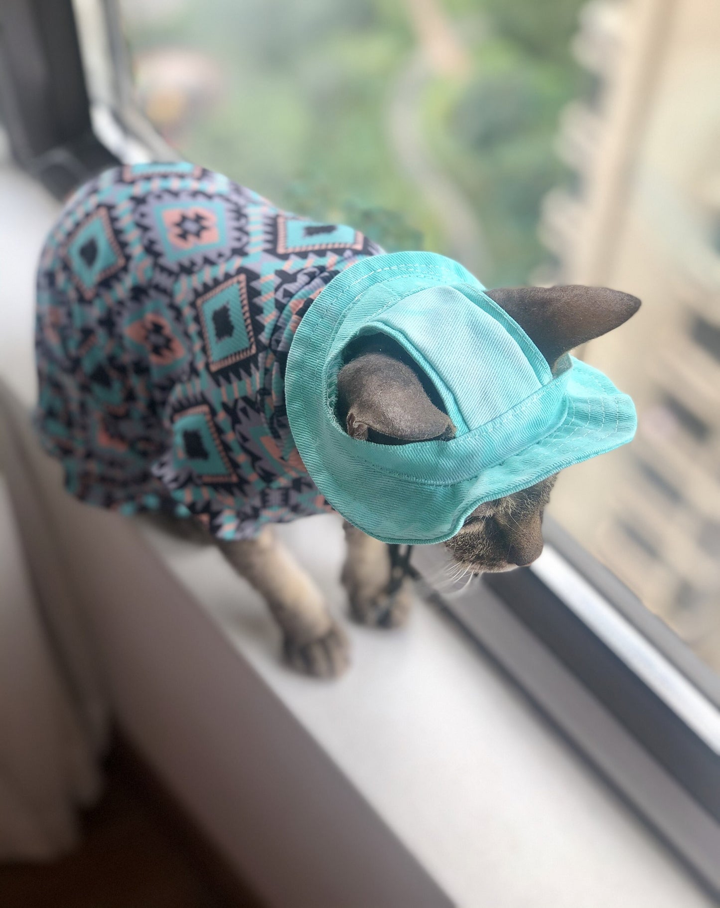 4-Legged Sphynx Cat Cooling Shirt & Hat Summer Set, Breathable UPF Sun Protection for Devon Rex Sphynx Cats