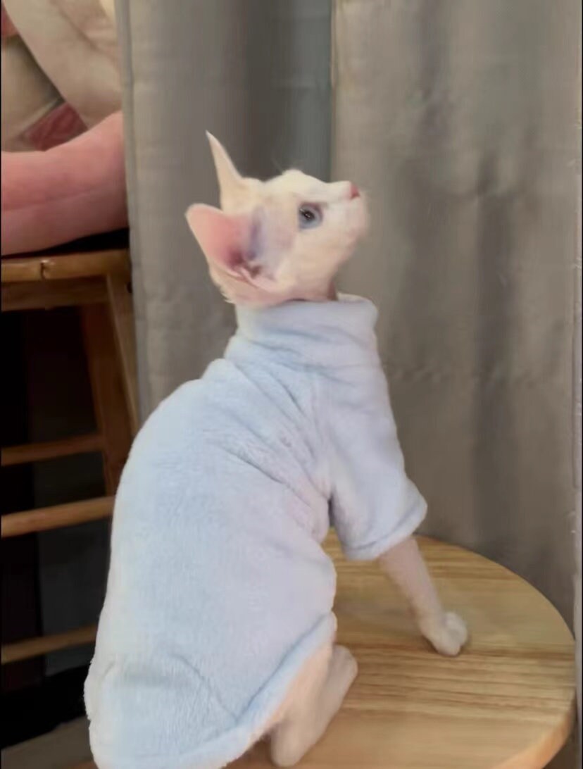 14 Colors Sphynx Hairless Cats Clothes, Fleece Warm Kitten Sweater in Winter, Bambino Devon Rex Sphynx Cat Turtleneck Soft Clothing